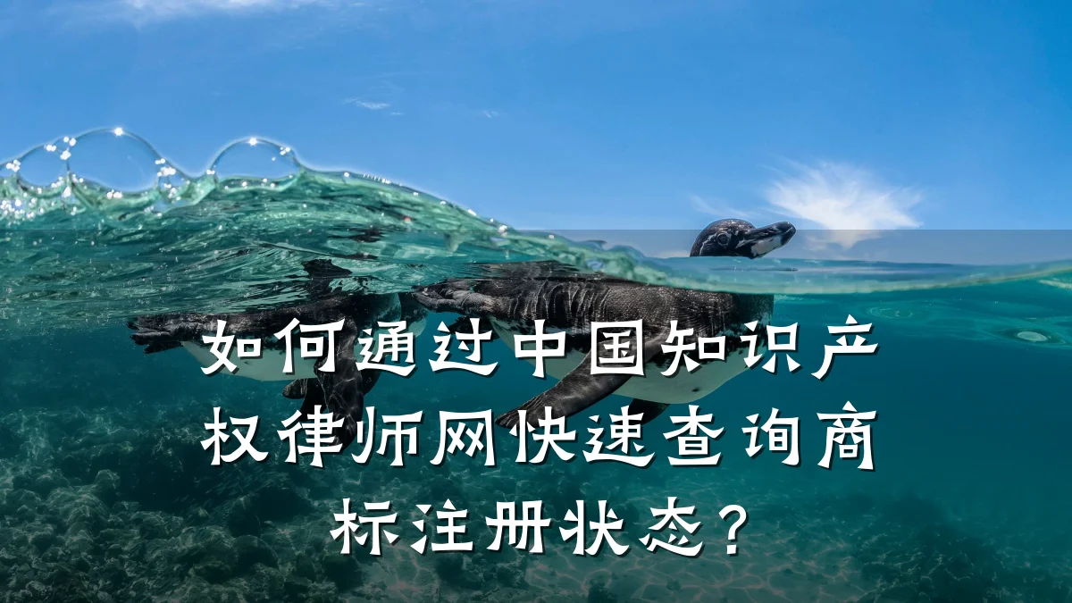 如何通过中国知识产权律师网快速查询商标注册状态？