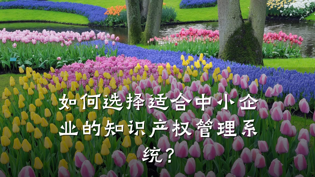 如何选择适合中小企业的知识产权管理系统？