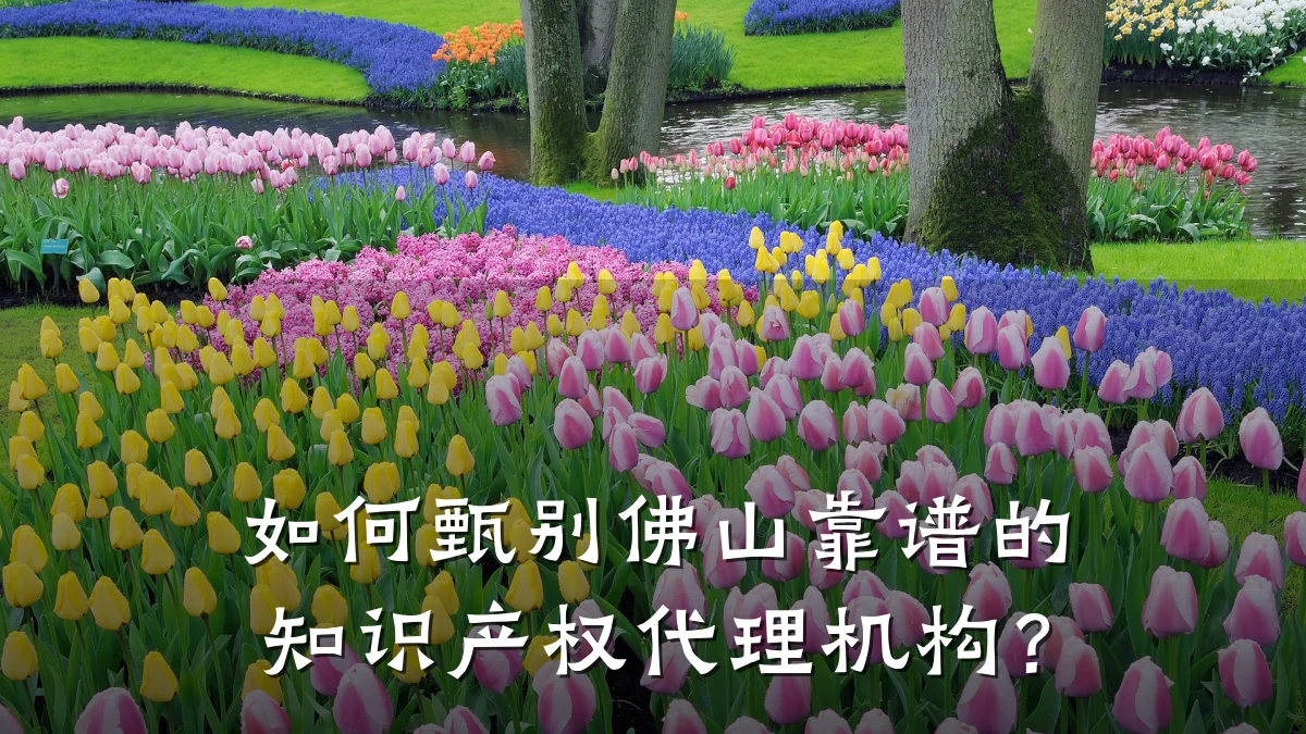 如何甄别佛山靠谱的知识产权代理机构？