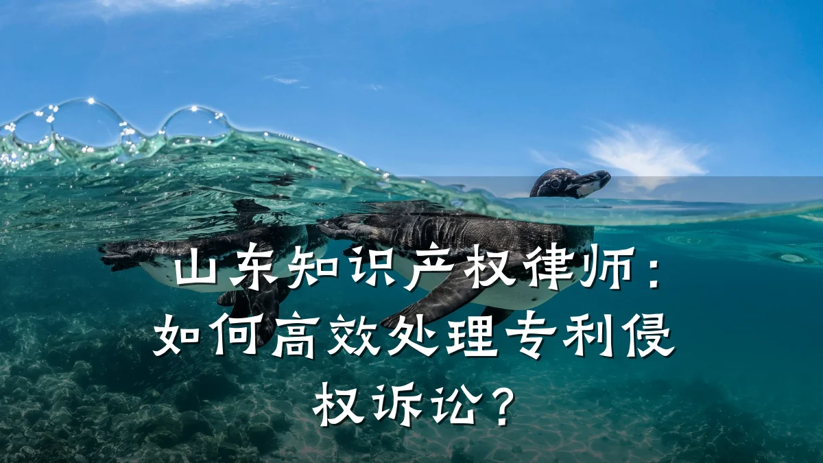 山东知识产权律师:如何高效处理专利侵权诉讼?