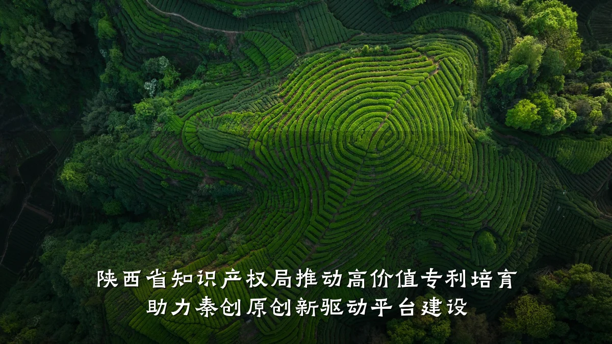 陕西省知识产权局推动高价值专利培育 助力秦创原创新驱动平台建设