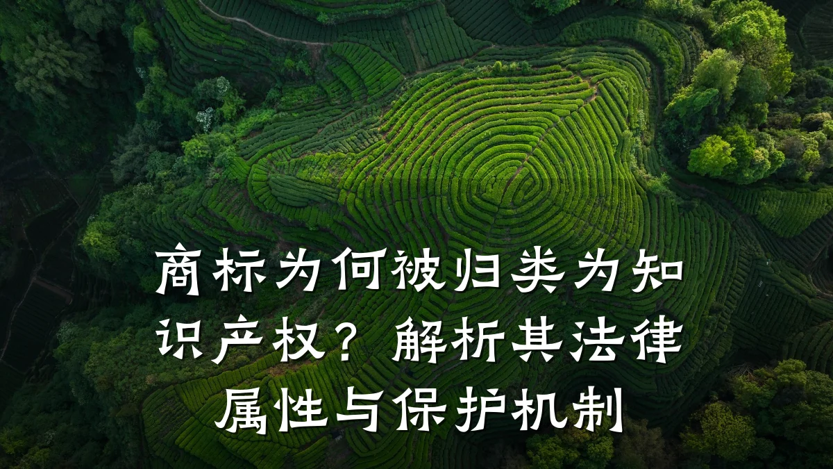 商标为何被归类为知识产权？解析其法律属性与保护机制