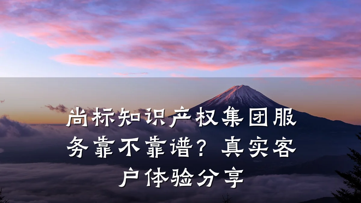 尚标知识产权集团服务靠不靠谱？真实客户体验分享