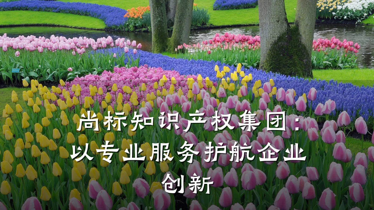 尚标知识产权集团：以专业服务护航企业创新