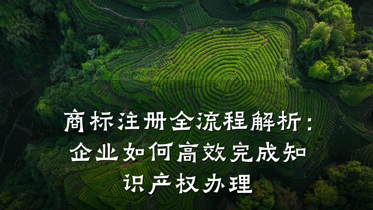 商标注册全流程解析:企业如何高效完成知识产权办理