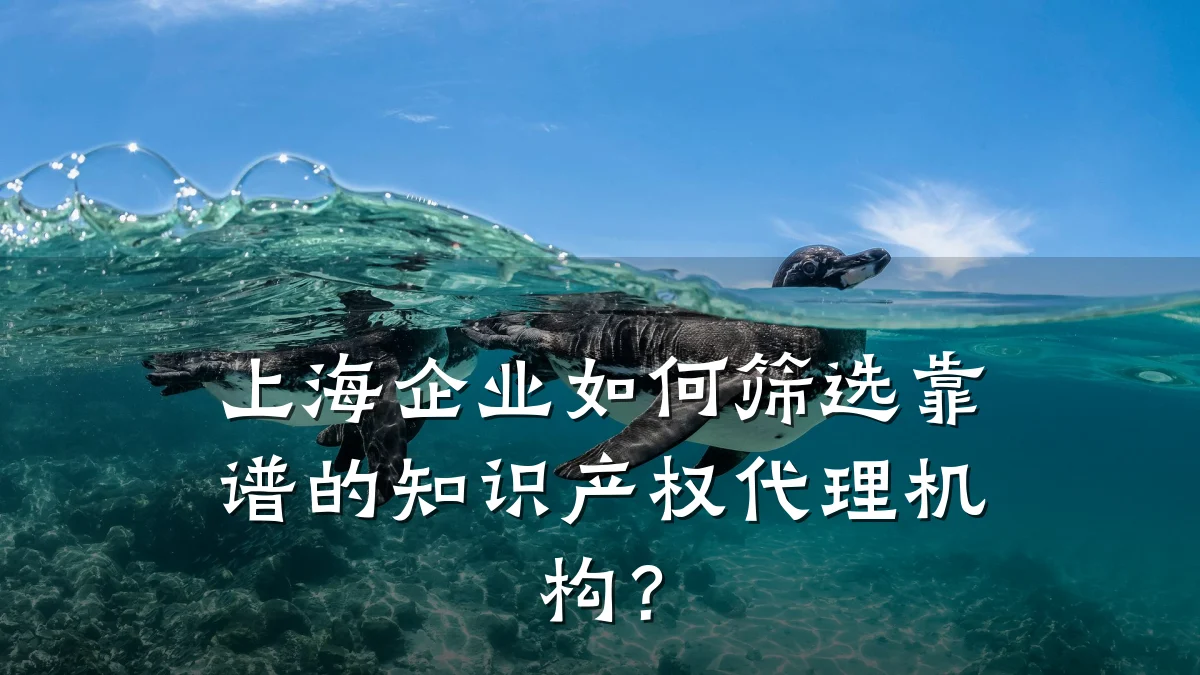 上海企业如何筛选靠谱的知识产权代理机构?