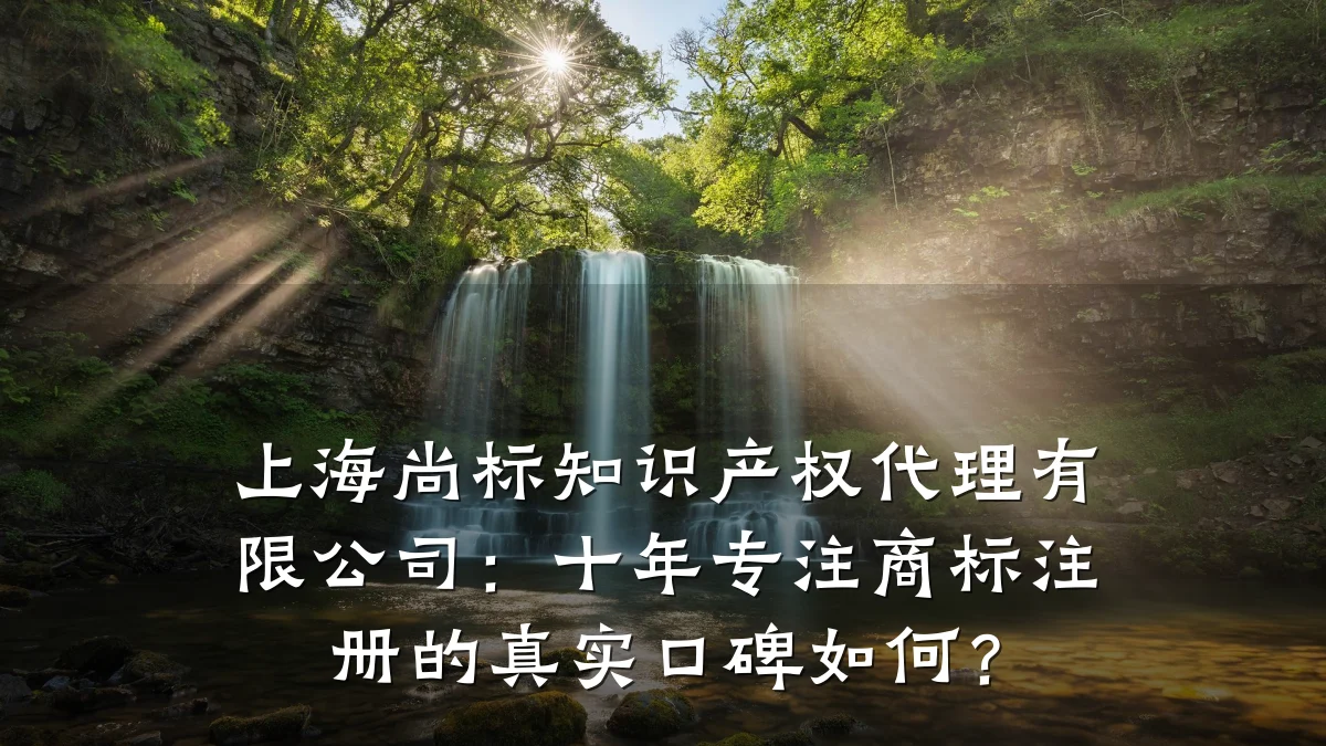 上海尚标知识产权代理有限公司：十年专注商标注册的真实口碑如何？