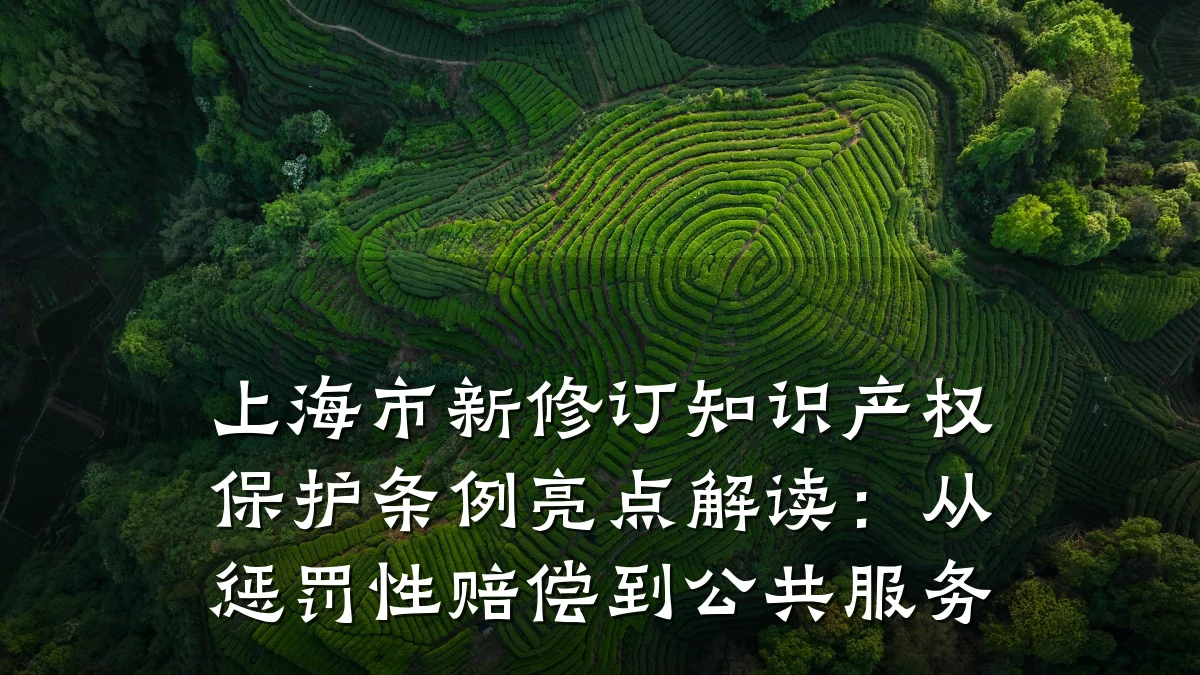 上海市新修订知识产权保护条例亮点解读：从惩罚性赔偿到公共服务