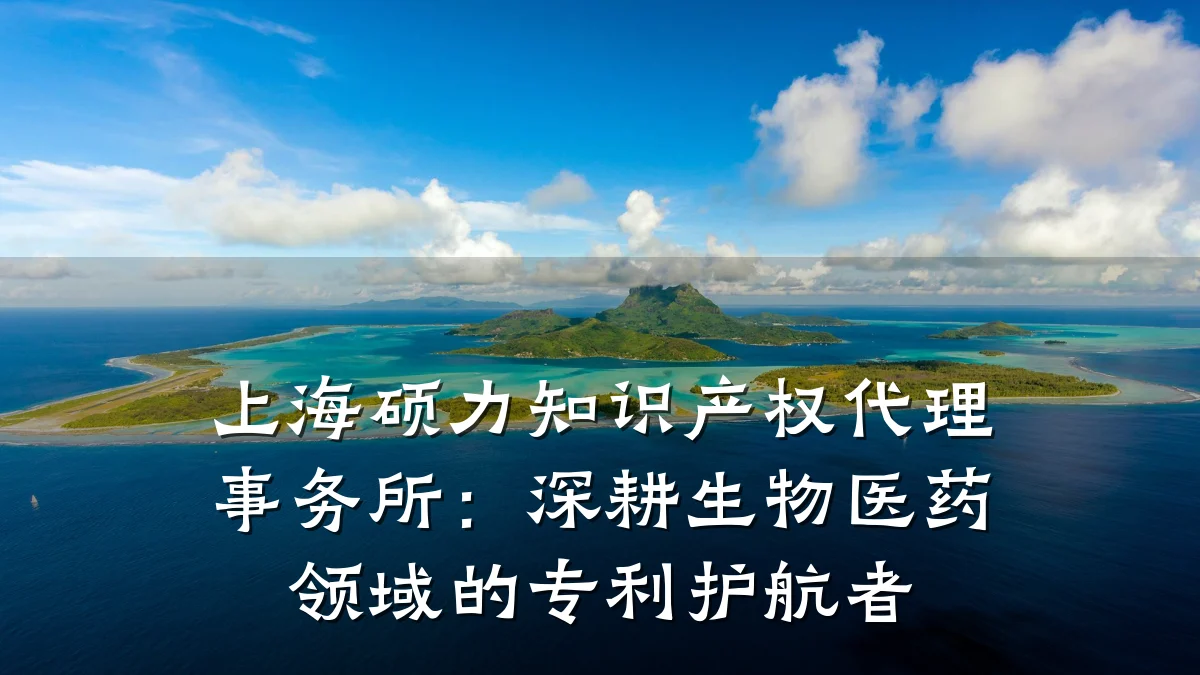 上海硕力知识产权代理事务所：深耕生物医药领域的专利护航者