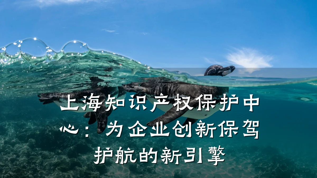 上海知识产权保护中心：为企业创新保驾护航的新引擎