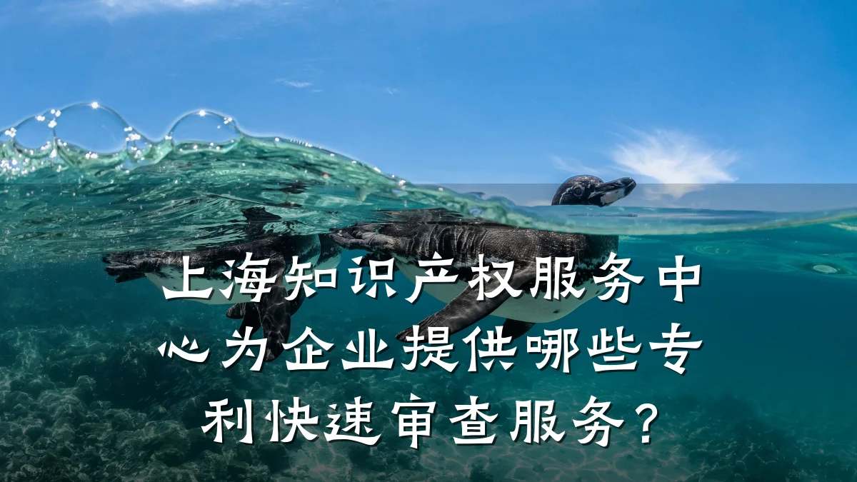 上海知识产权服务中心为企业提供哪些专利快速审查服务？