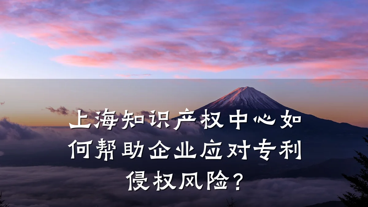 上海知识产权中心如何帮助企业应对专利侵权风险？
