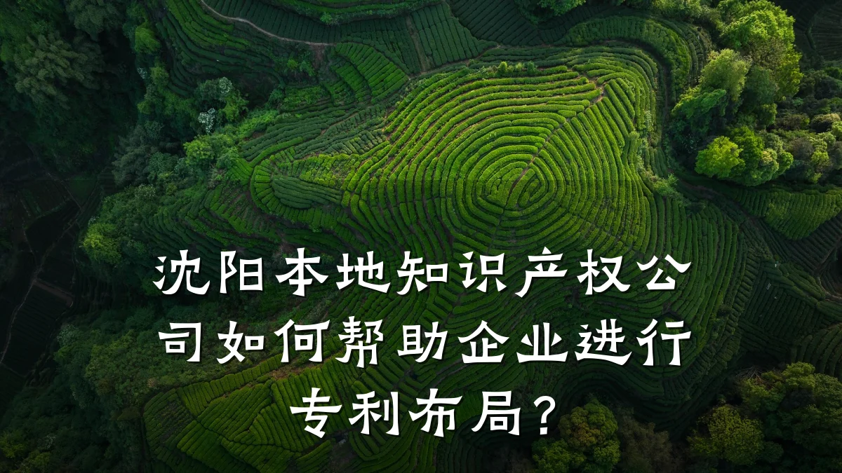 沈阳本地知识产权公司如何帮助企业进行专利布局？