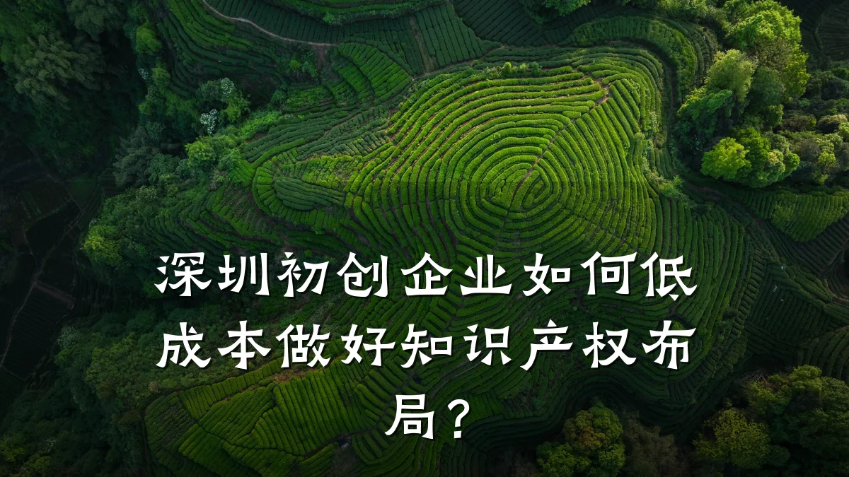 深圳初创企业如何低成本做好知识产权布局?
