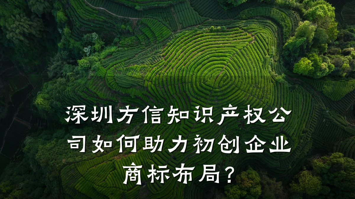 深圳方信知识产权公司如何助力初创企业商标布局？