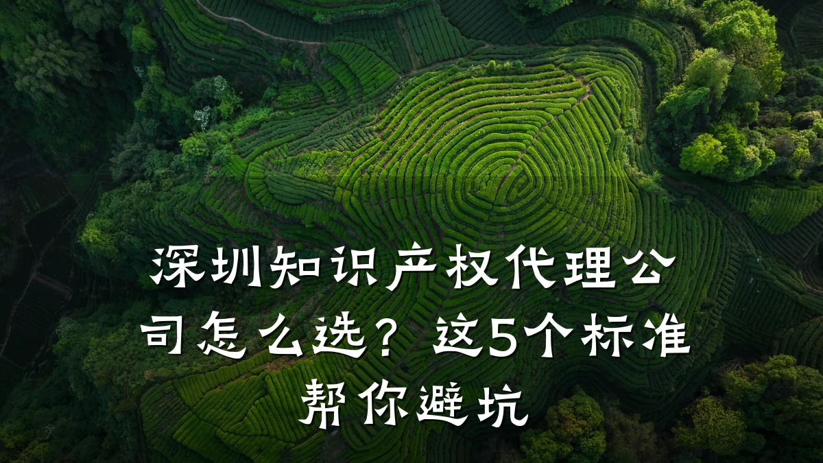 深圳知识产权代理公司怎么选？这5个标准帮你避坑