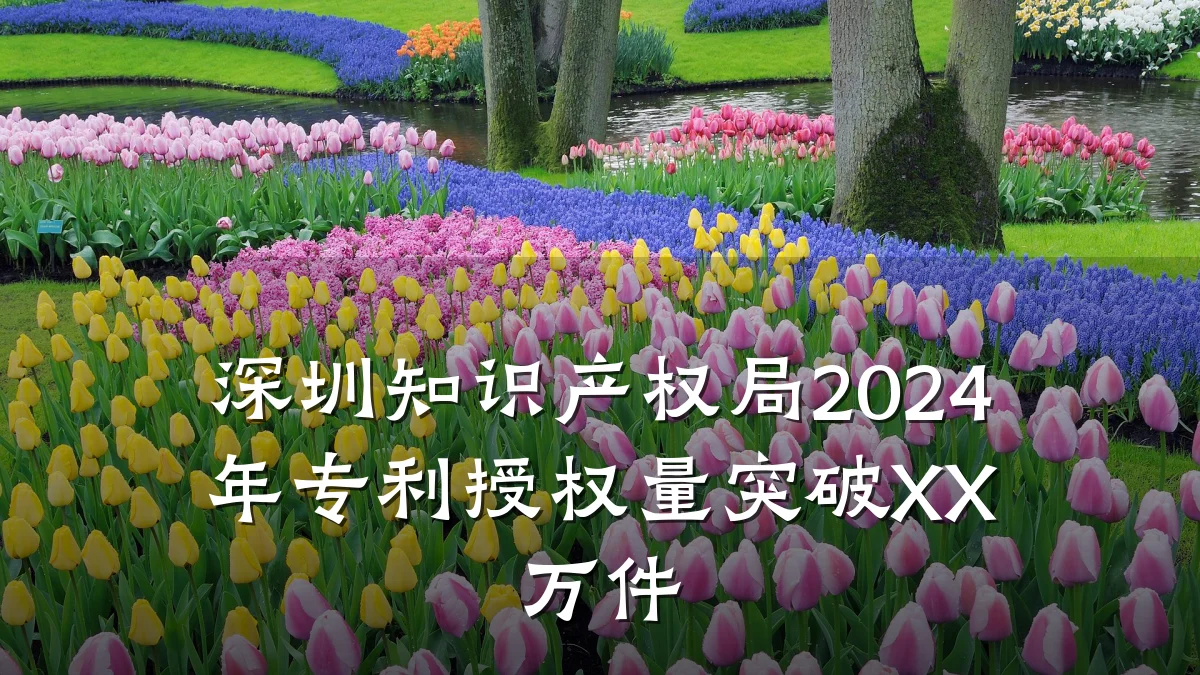 深圳知识产权局2024年专利授权量突破XX万件