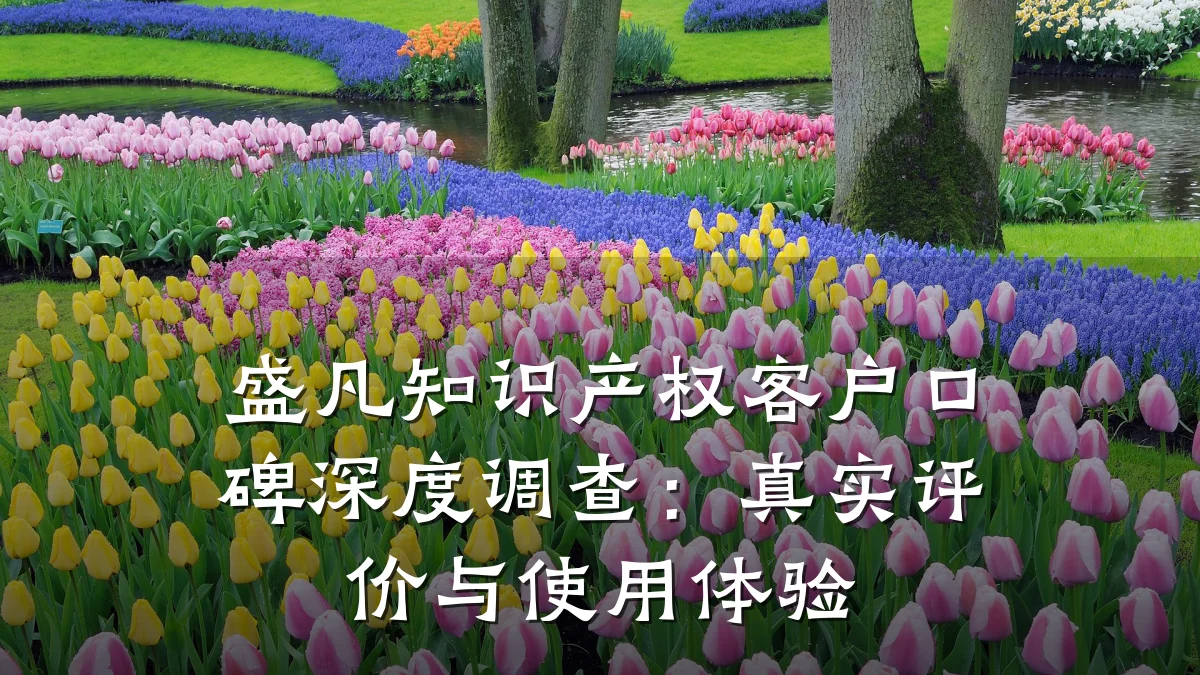 盛凡知识产权客户口碑深度调查：真实评价与使用体验