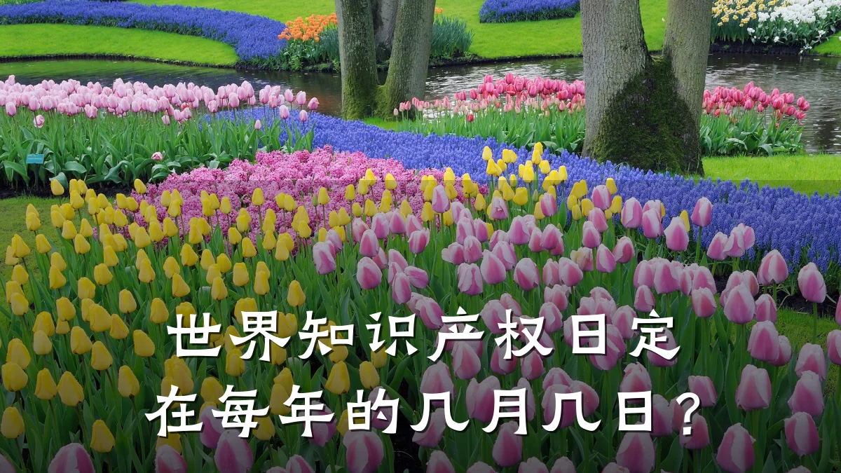 世界知识产权日定在每年的几月几日？