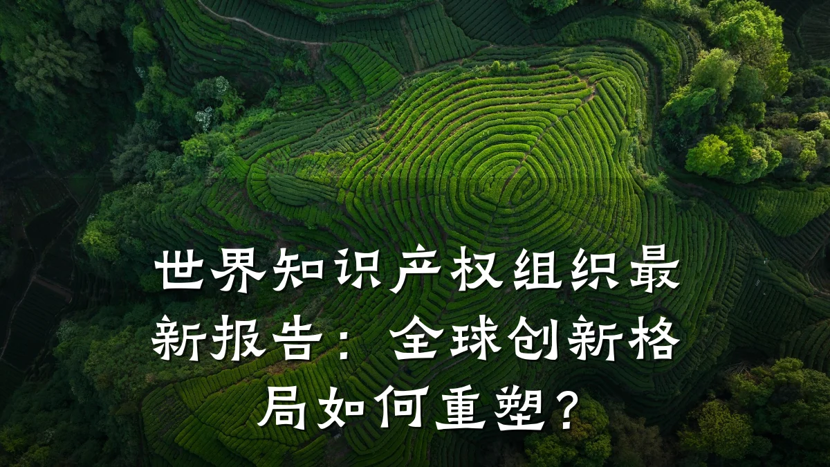 世界知识产权组织最新报告：全球创新格局如何重塑？
