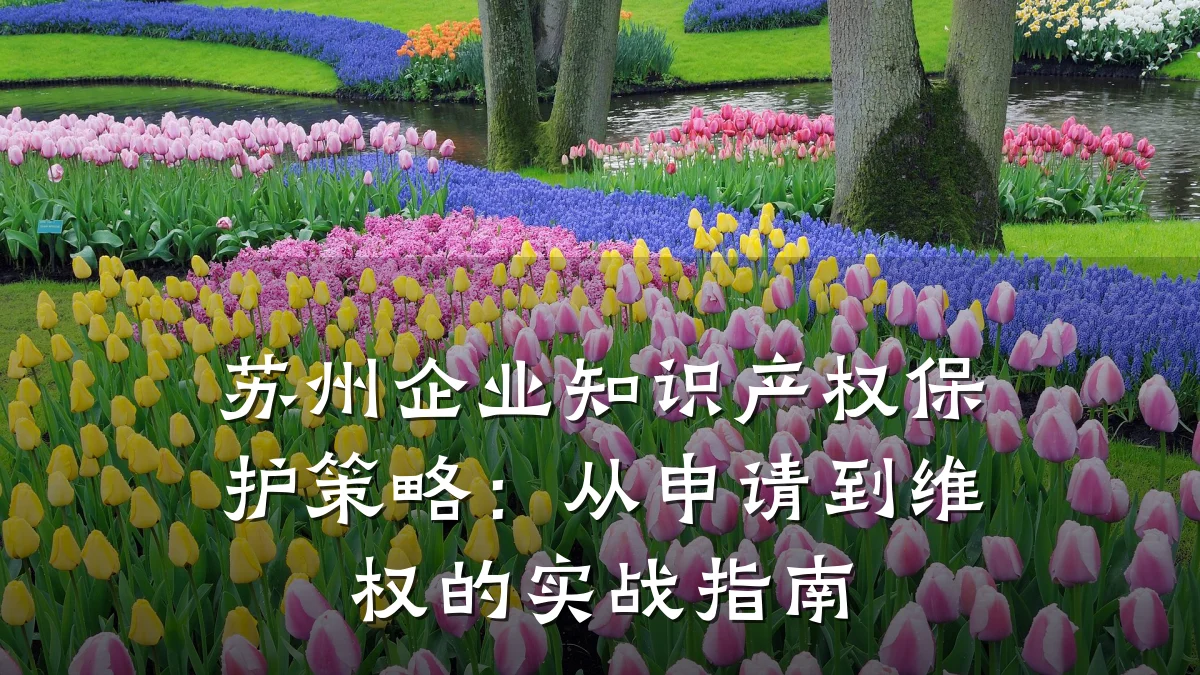 苏州企业知识产权保护策略:从申请到维权的实战指南