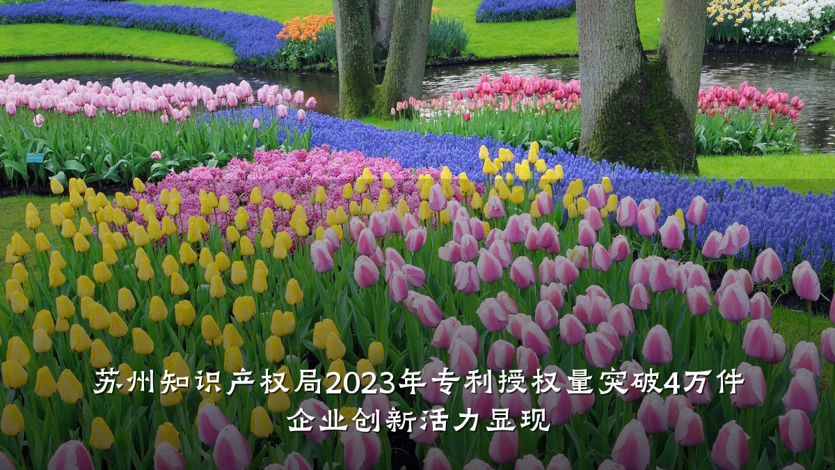 苏州知识产权局2023年专利授权量突破4万件 企业创新活力显现