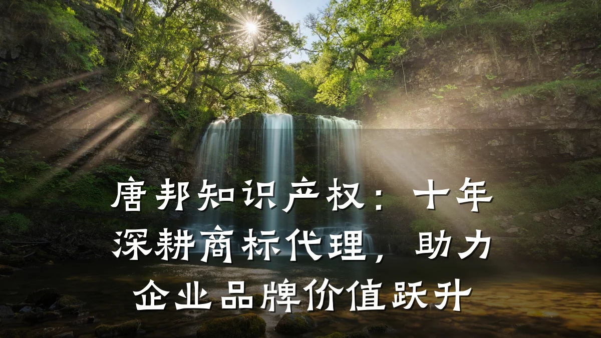 唐邦知识产权：十年深耕商标代理，助力企业品牌价值跃升