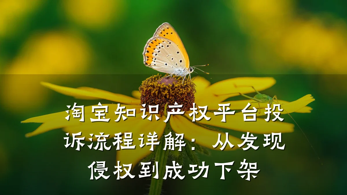 淘宝知识产权平台投诉流程详解：从发现侵权到成功下架