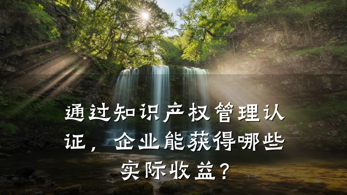 通过知识产权管理认证，企业能获得哪些实际收益？