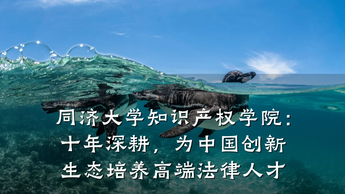 同济大学知识产权学院：十年深耕，为中国创新生态培养高端法律人才