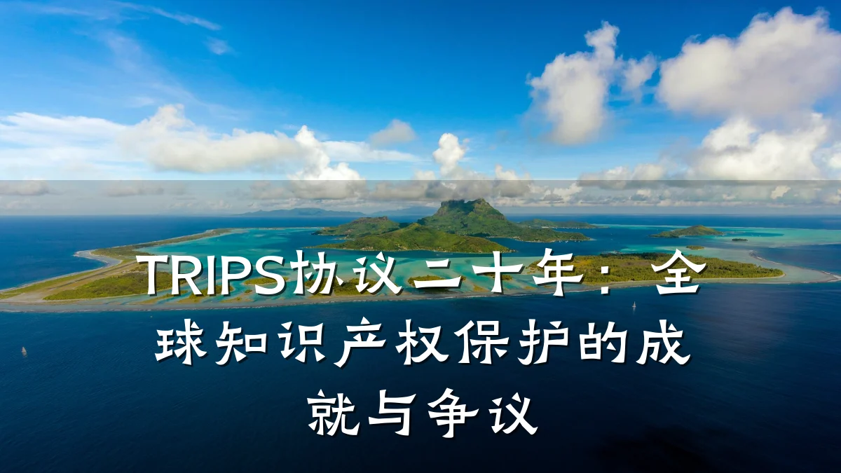 TRIPS协议二十年：全球知识产权保护的成就与争议
