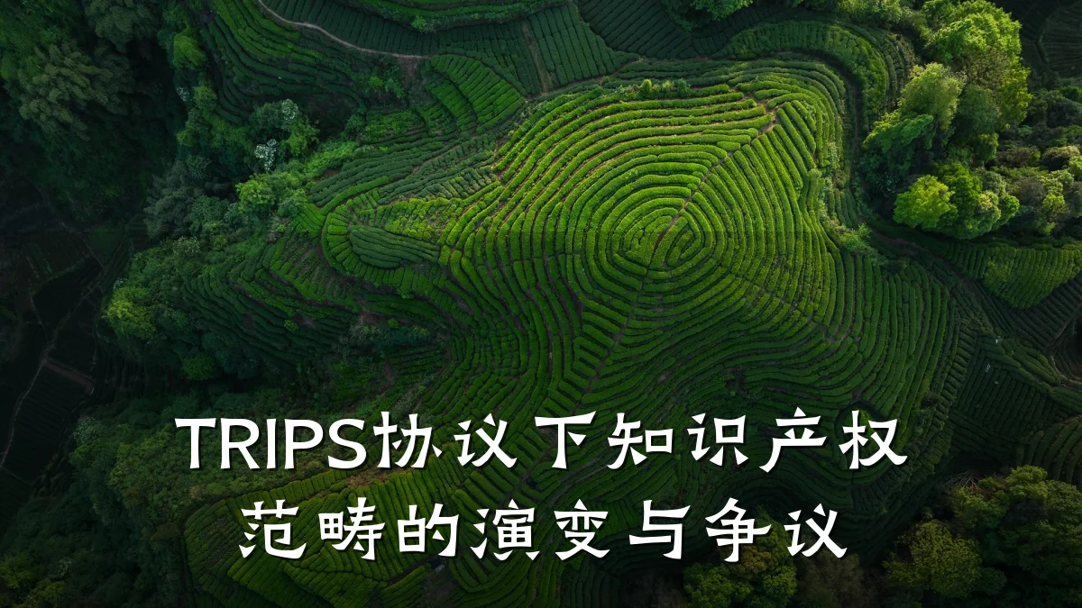 TRIPS协议下知识产权范畴的演变与争议