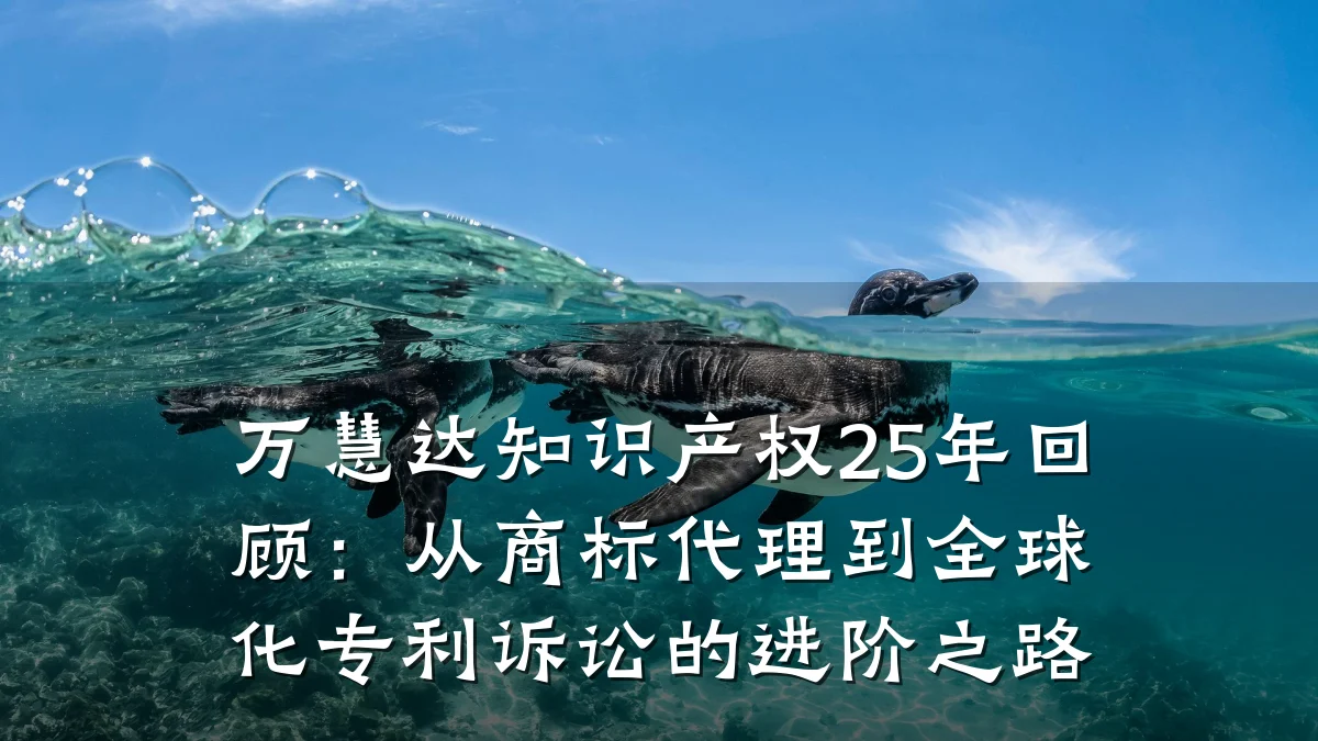 万慧达知识产权25年回顾：从商标代理到全球化专利诉讼的进阶之路