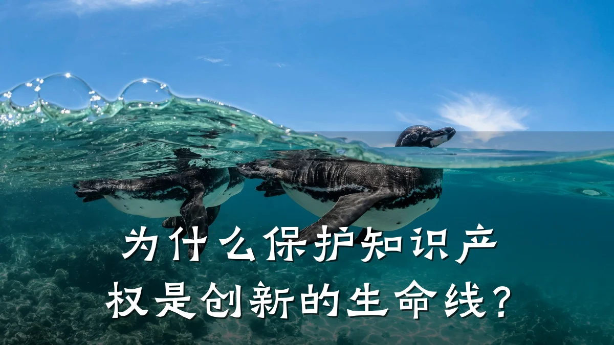 为什么保护知识产权是创新的生命线?