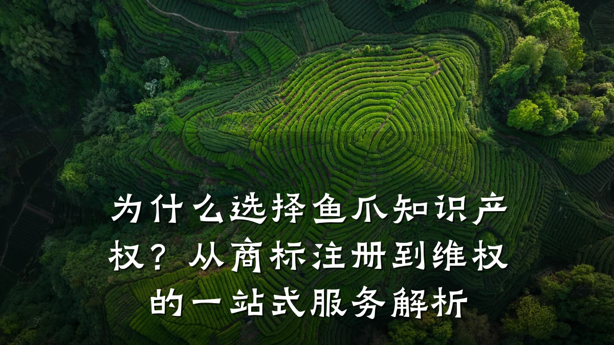 为什么选择鱼爪知识产权？从商标注册到维权的一站式服务解析