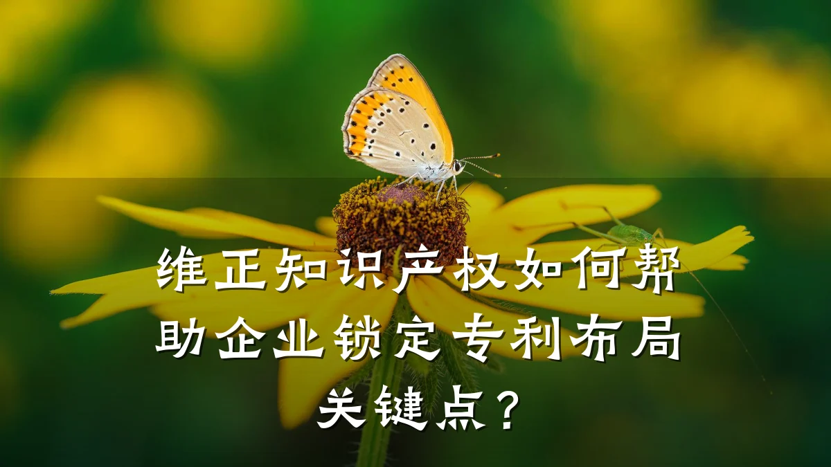 维正知识产权如何帮助企业锁定专利布局关键点？