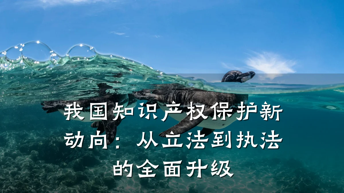 我国知识产权保护新动向：从立法到执法的全面升级