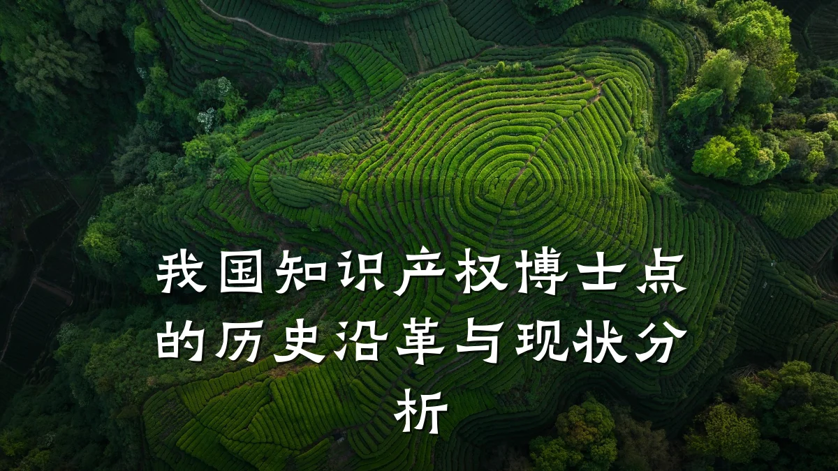 我国知识产权博士点的历史沿革与现状分析