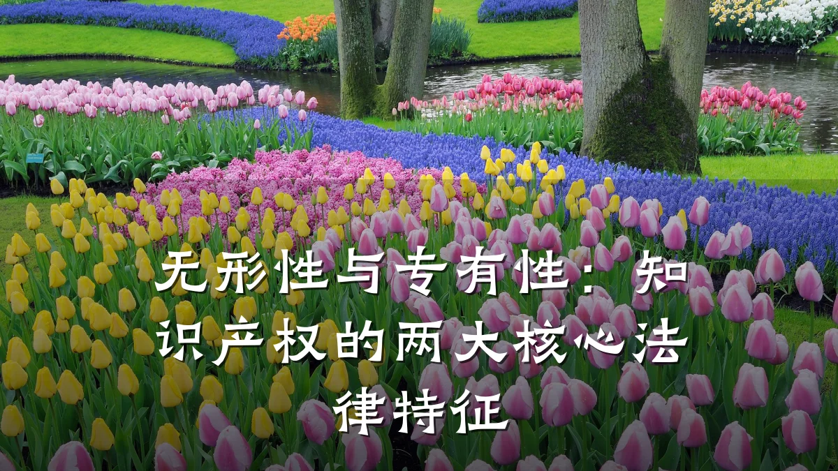 无形性与专有性：知识产权的两大核心法律特征