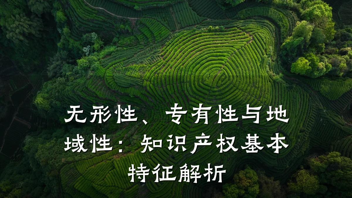 无形性、专有性与地域性：知识产权基本特征解析