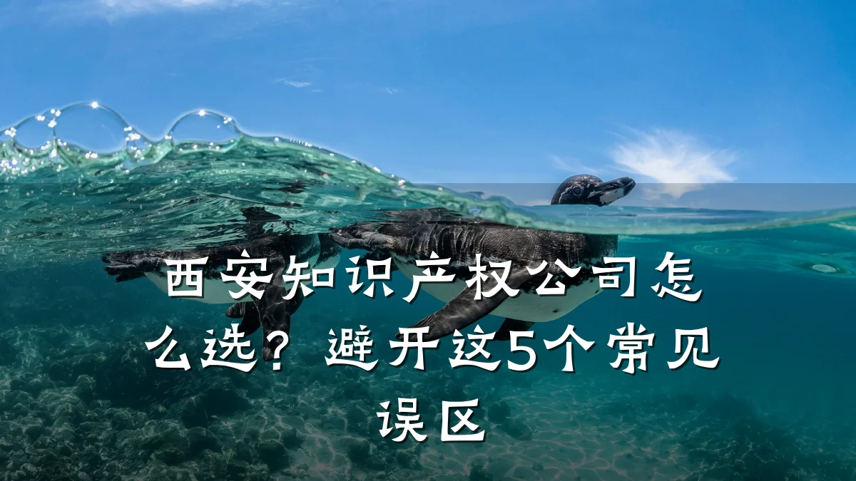 西安知识产权公司怎么选？避开这5个常见误区
