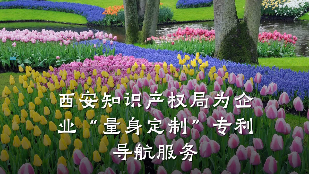 西安知识产权局为企业“量身定制”专利导航服务