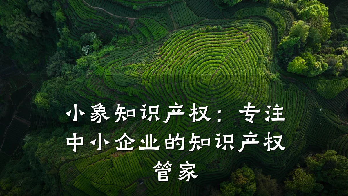 小象知识产权：专注中小企业的知识产权管家