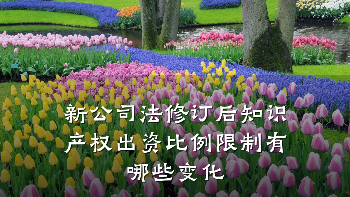 新公司法修订后知识产权出资比例限制有哪些变化