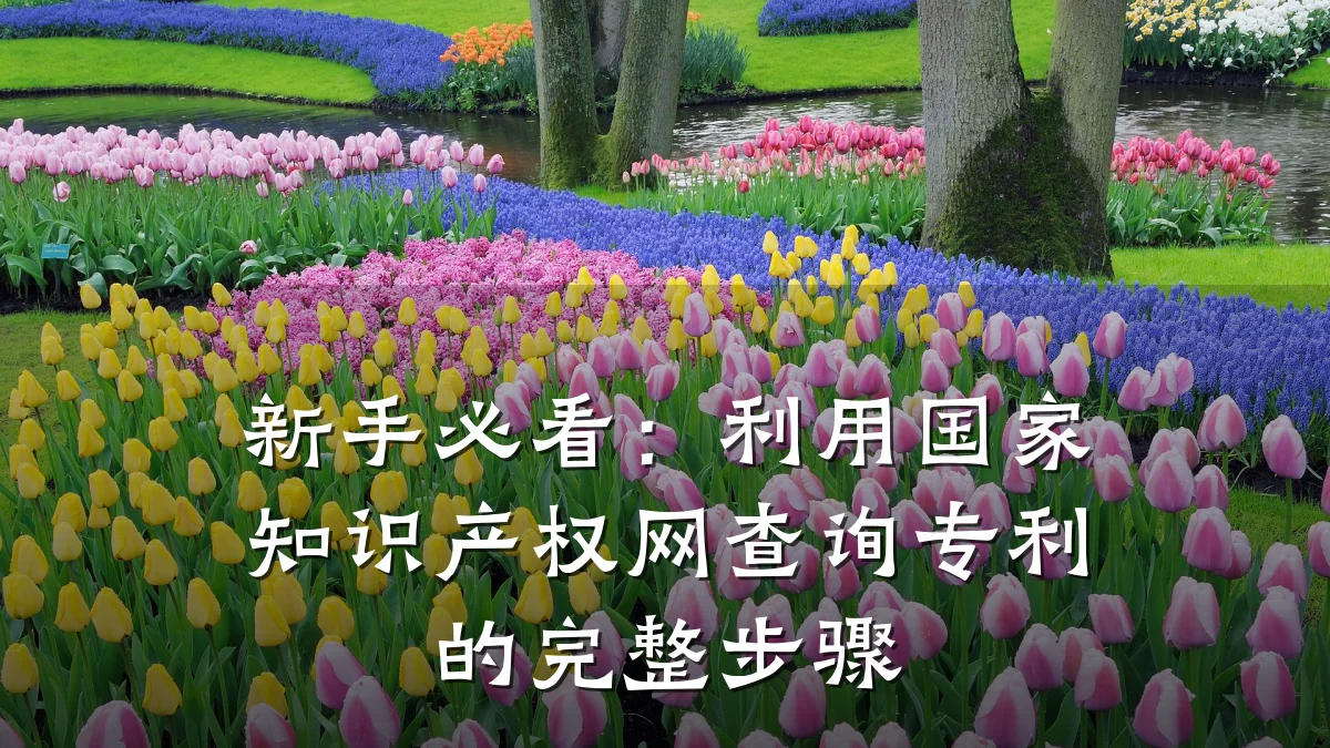 新手必看：利用国家知识产权网查询专利的完整步骤