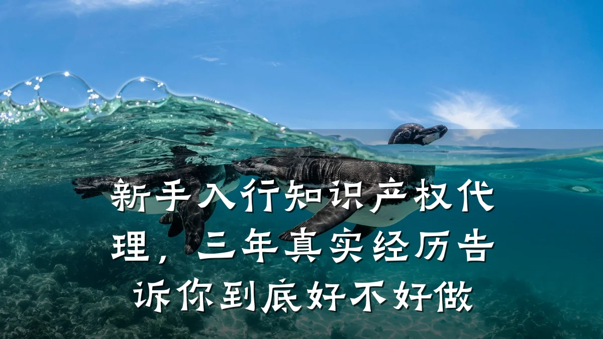 新手入行知识产权代理，三年真实经历告诉你到底好不好做