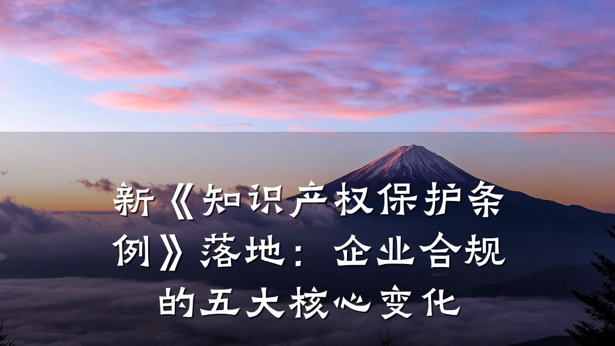 新《知识产权保护条例》落地：企业合规的五大核心变化