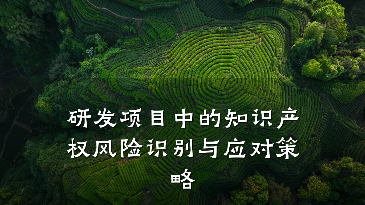 研发项目中的知识产权风险识别与应对策略
