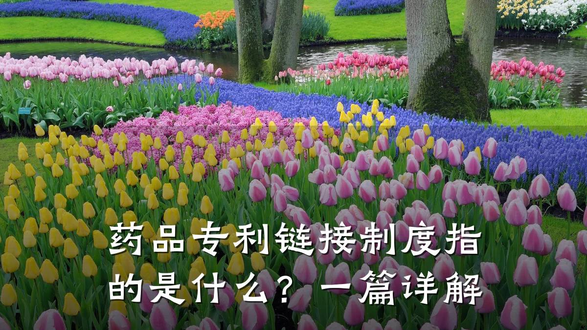 药品专利链接制度指的是什么?一篇详解
