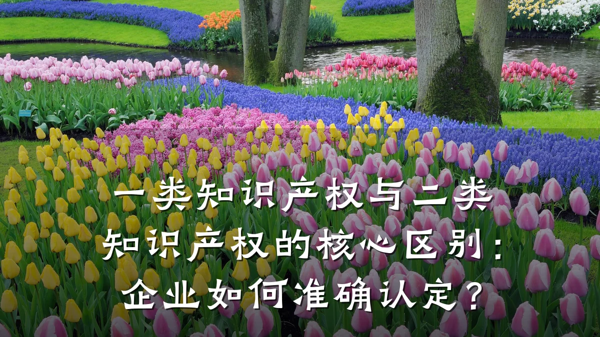 一类知识产权与二类知识产权的核心区别：企业如何准确认定？